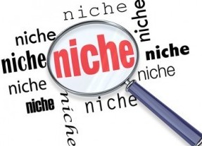 Build Niche Websites